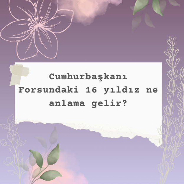 Cumhurbaşkanı Forsundaki 16 yıldız ne anlama gelir? 1