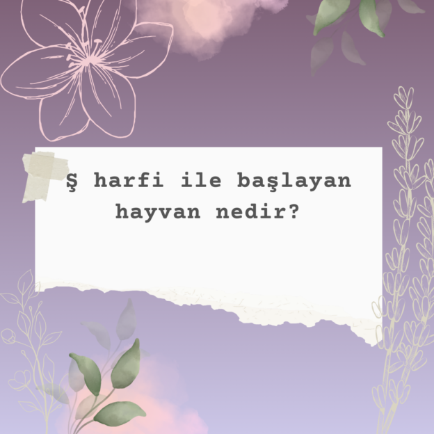 Ş harfi ile başlayan hayvan nedir? 1