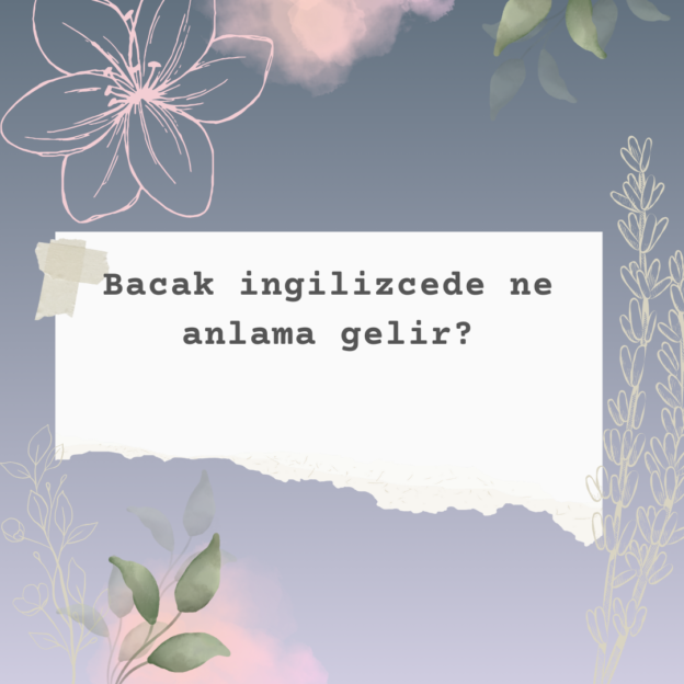 Bacak ingilizcede ne anlama gelir? 1