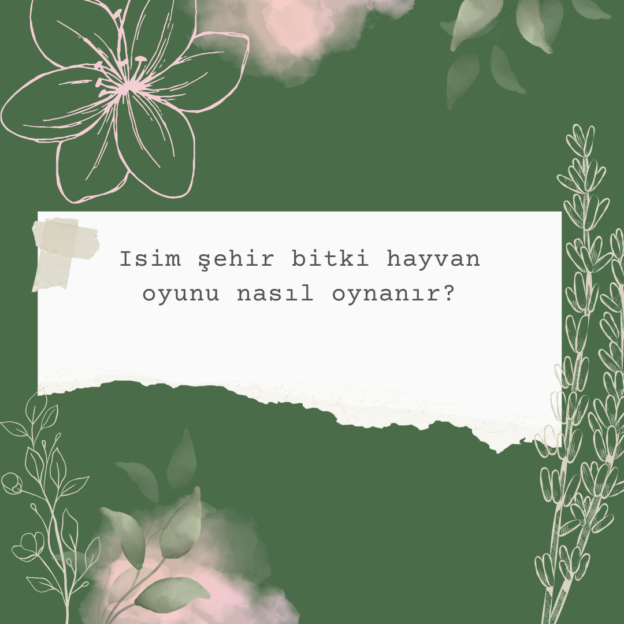 Isim şehir bitki hayvan oyunu nasıl oynanır? 1