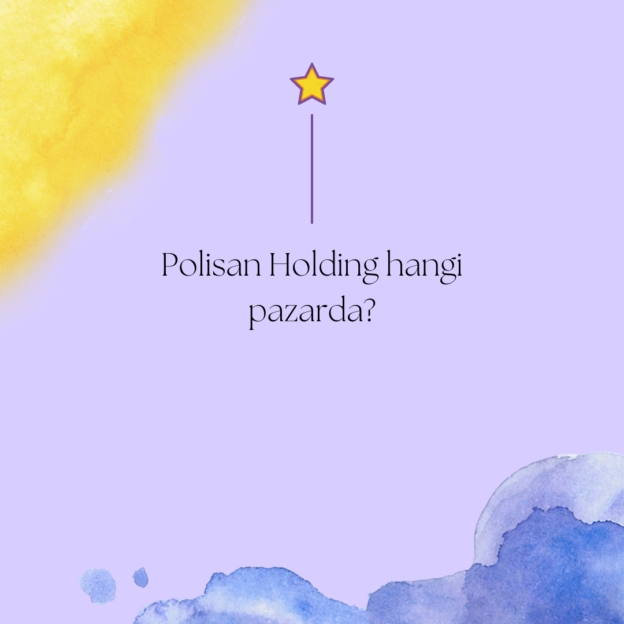 Polisan Holding hangi pazarda? 1