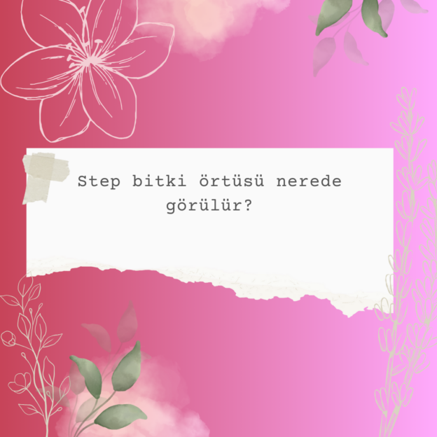 Step bitki örtüsü nerede görülür? 1 Step bitki örtüsü nerede görülür? 1