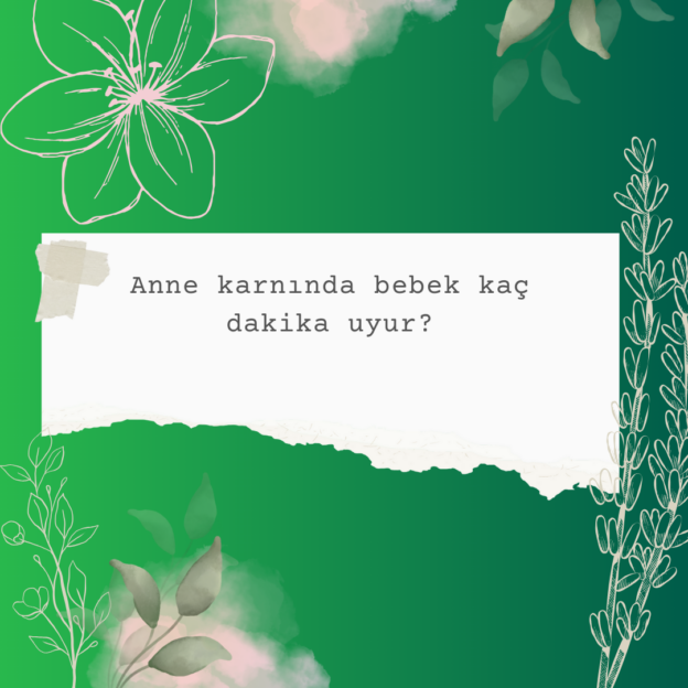 Anne karnında bebek kaç dakika uyur? 7