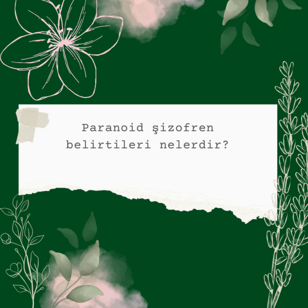 Paranoid şizofren belirtileri nelerdir? 4