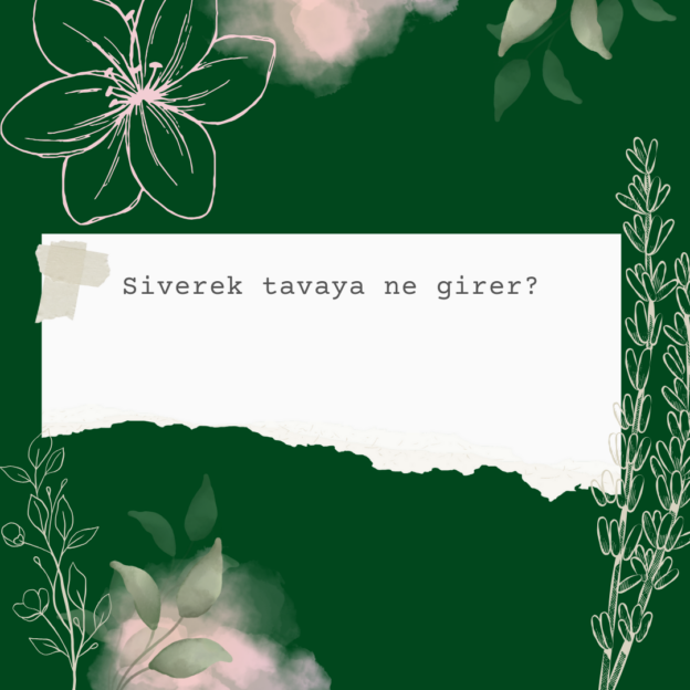 Siverek tavaya ne girer? 1