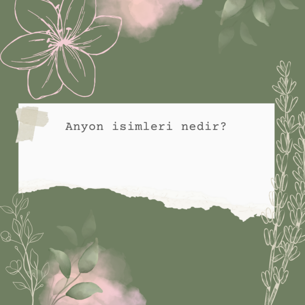Anyon isimleri nedir? 1