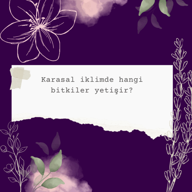 Karasal iklimde hangi bitkiler yetişir? 4