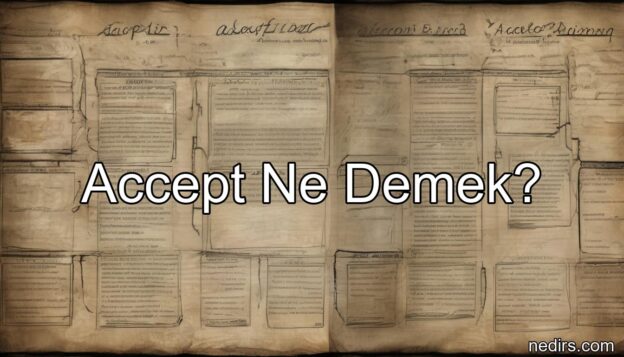 accept ne demek?