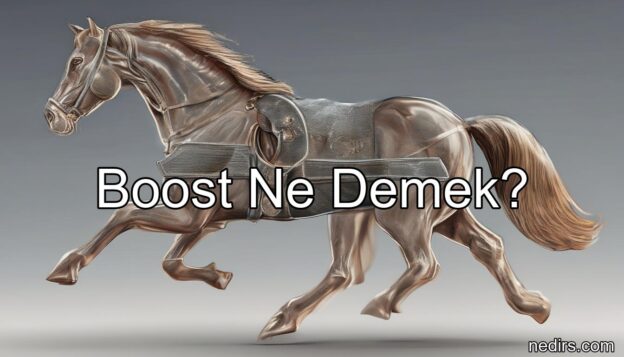 boost ne demek?
