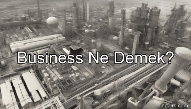 business ne demek?