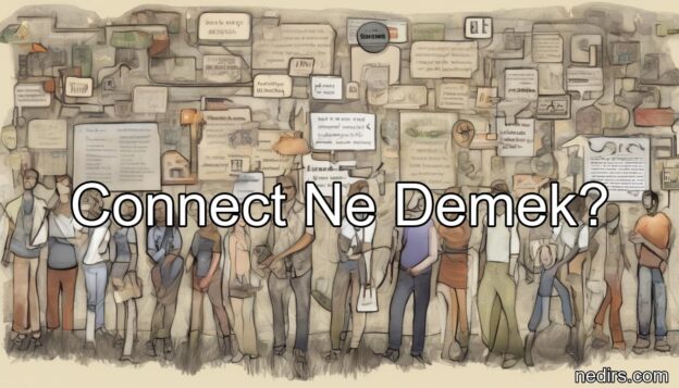 connect ne demek?