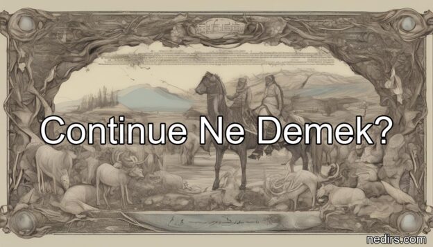 continue ne demek?