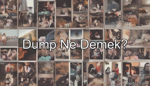 dump ne demek?