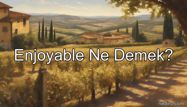 enjoyable ne demek?