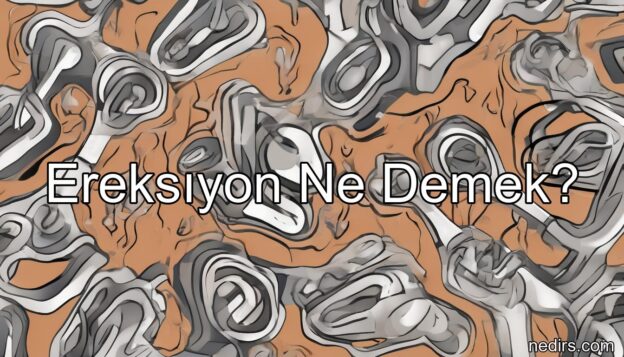 ereksıyon ne demek?
