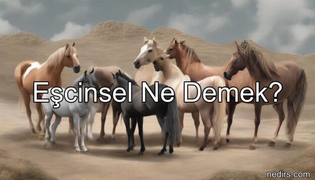 eşcinsel ne demek?