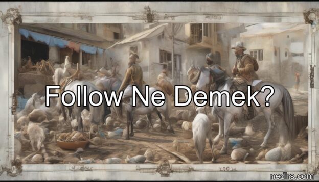 follow ne demek?