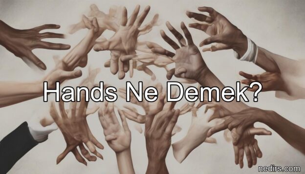 hands ne demek?