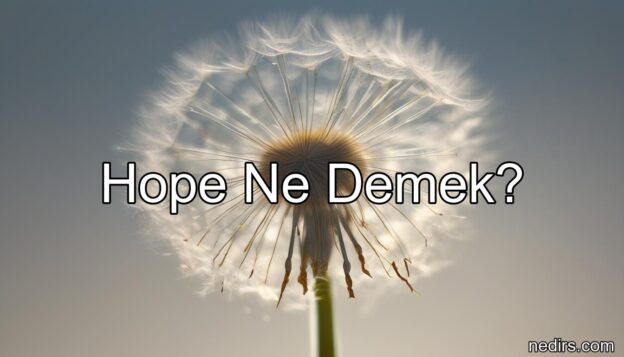 hope ne demek?