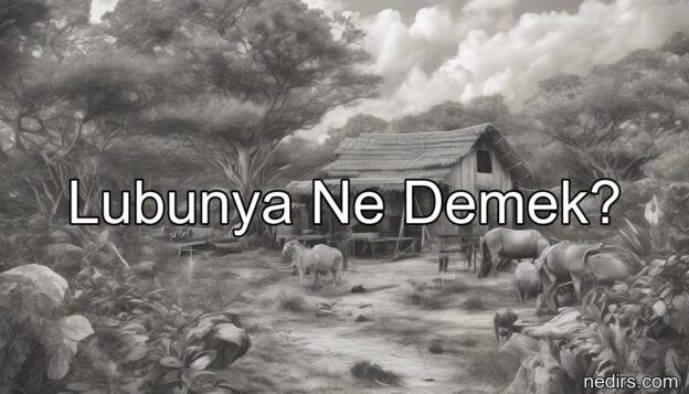 lubunya ne demek?