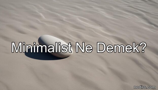 minimalist ne demek?