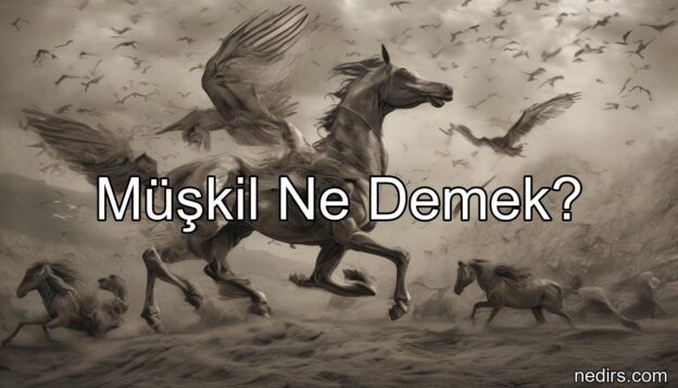 müşkil ne demek?