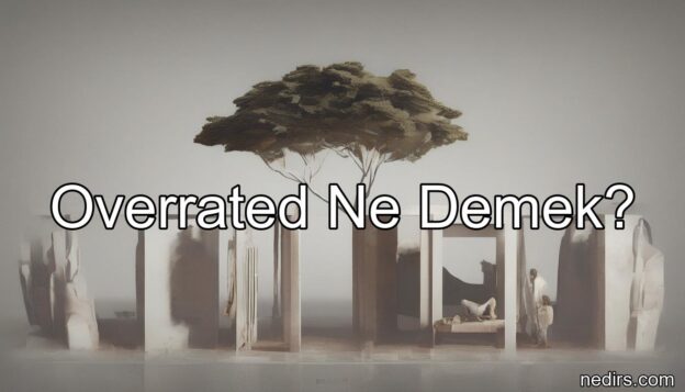 overrated ne demek?