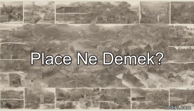place ne demek?