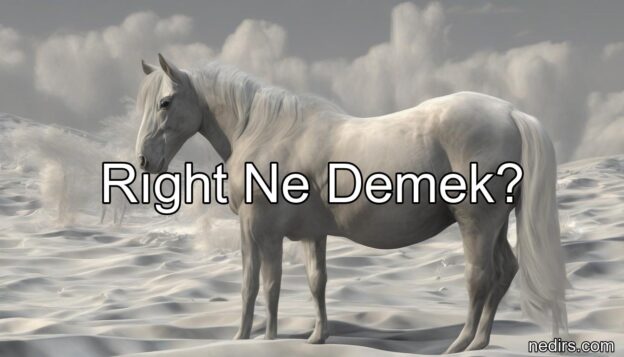 rıght ne demek?