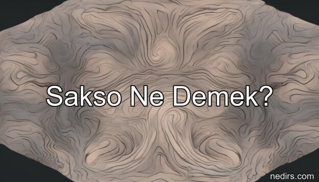sakso ne demek?