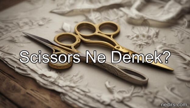 scissors ne demek?