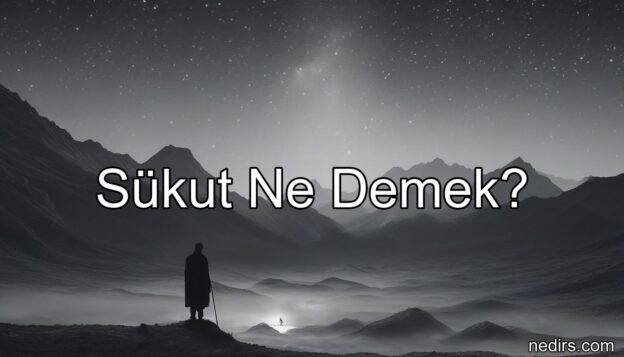 sükut ne demek?