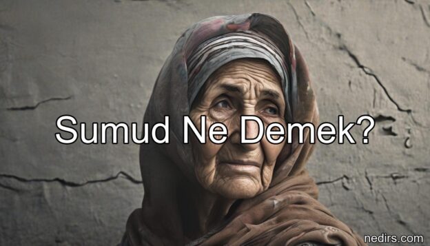 sumud ne demek?