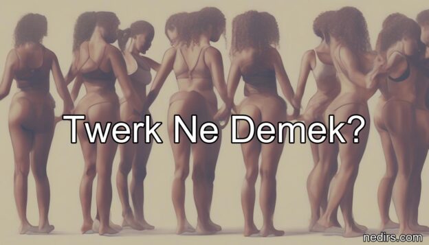 twerk ne demek?
