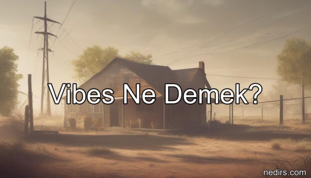 vibes ne demek?