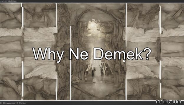 why ne demek?