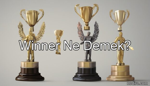 winner ne demek?